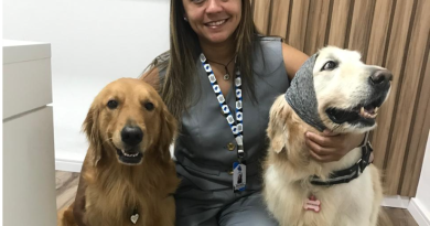‘Setembro Lilás’: mês de conscientização e combate ao câncer em animais