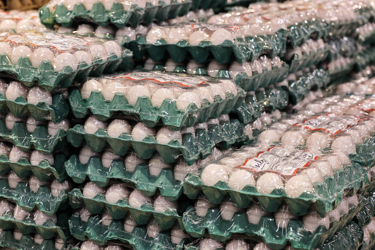 Ovos, frango e carne suína podem ficar mais caros com a guerra no Irã, diz setor