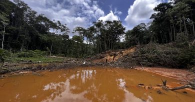 MPF investiga se falta estrutura no Ibama para combater garimpo no AM