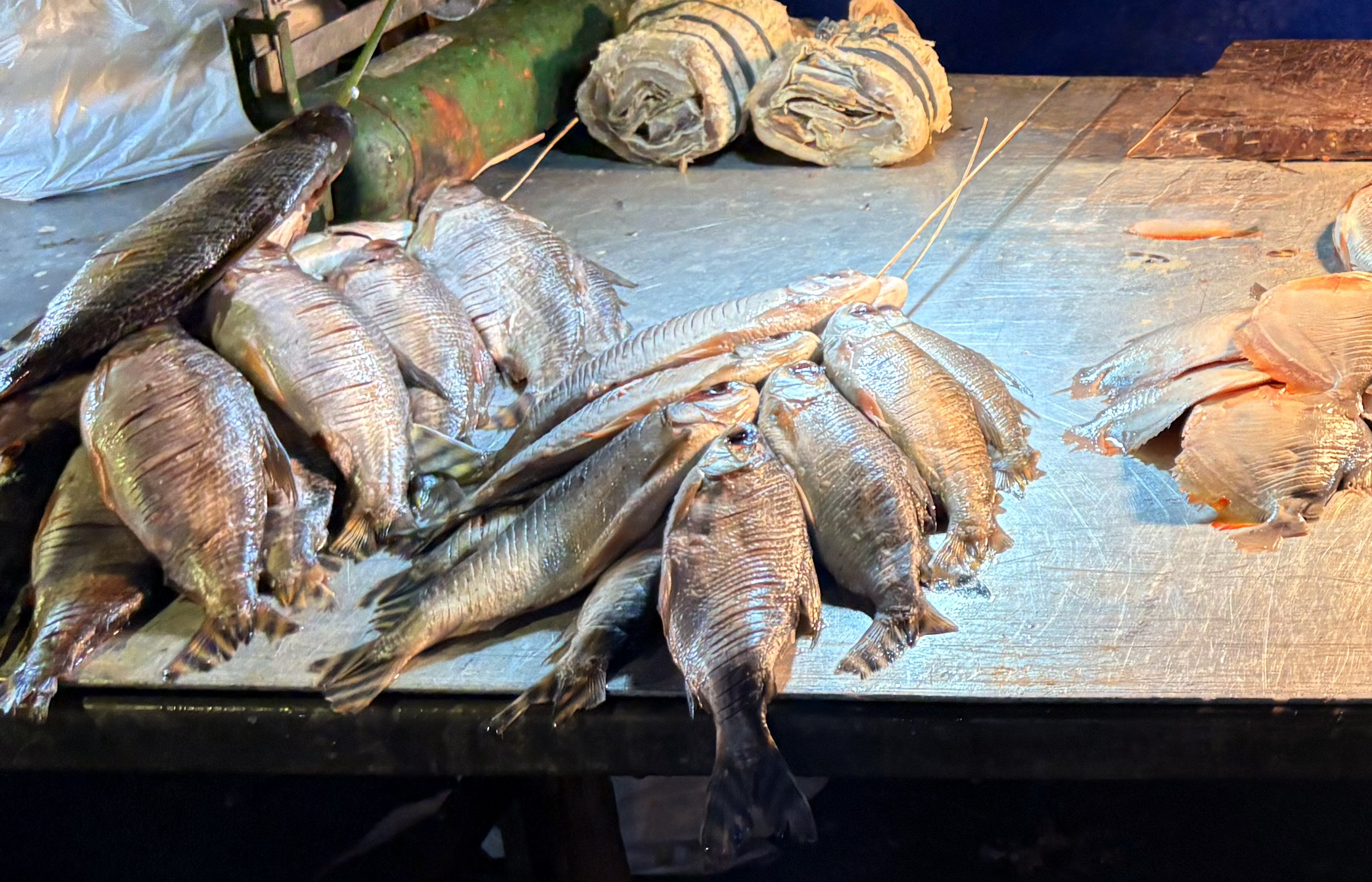 Deputados aprovam projeto que transforma jaraqui em patrimônio cultural do AM