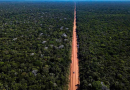 Governo anuncia retomada de obras na BR-319 com investimento de R$ 670 milhões