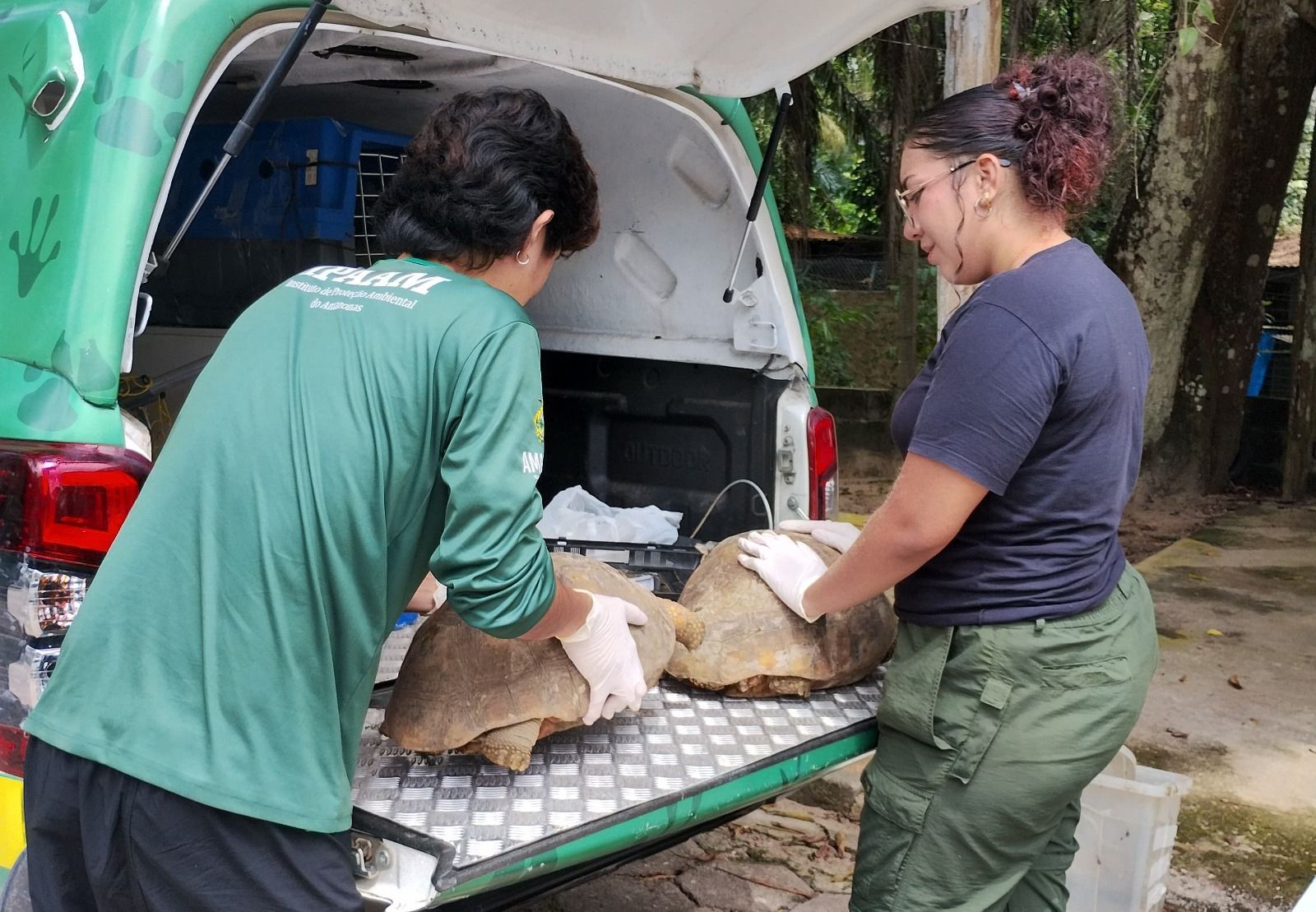Operação resgata mais de 50 animais silvestres na zona Leste de Manaus
