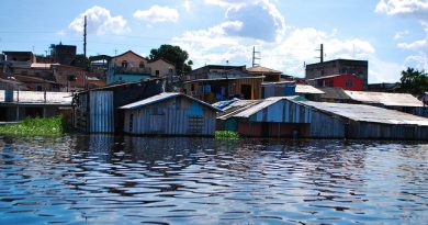 Cheia 2026: Manaus e Manacapuru devem ultrapassar cota de inundação