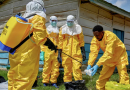 Ebola: OMS eleva a muito alto risco na República Democrática do Congo