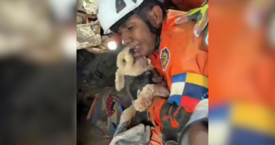 Após resgate na Venezuela, cãozinho ‘agradece’ com lambidas; veja vídeo