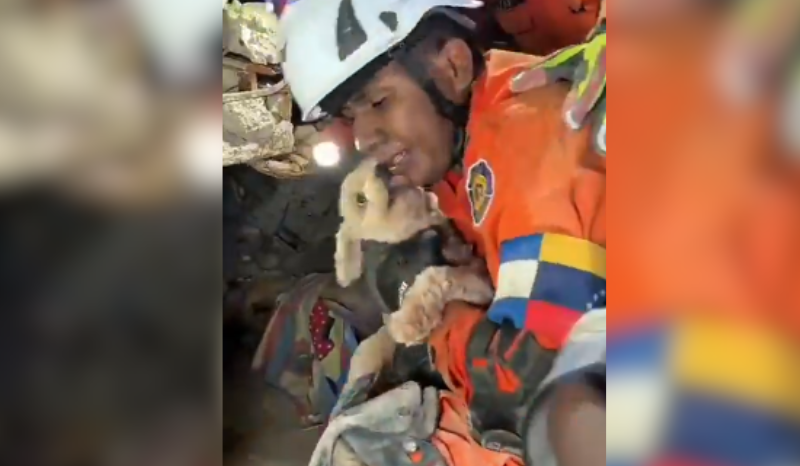 Após resgate na Venezuela, cãozinho ‘agradece’ com lambidas; veja vídeo