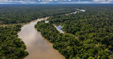 Rio Juruá baixa e Itamarati decreta situação de alerta por estiagem