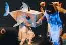 Cia amazonense Buia Teatro realiza curta temporada de ‘Bertoldo’ em Belém