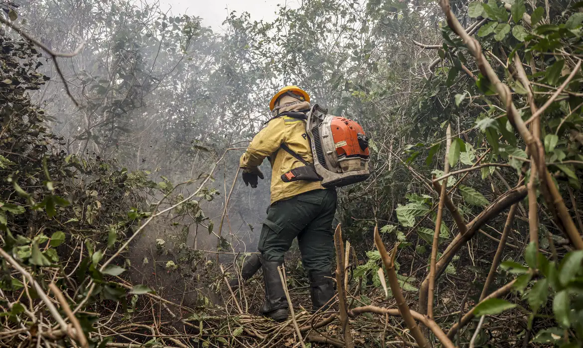 Incêdios no Amazonas resultam de ação humana intencional, diz ministro